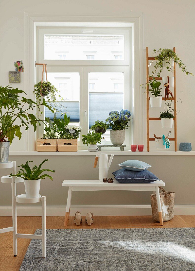 Pflanzengalerie auf weißem Fensterbrett mit Holzkistchen und angelehnter Leiter