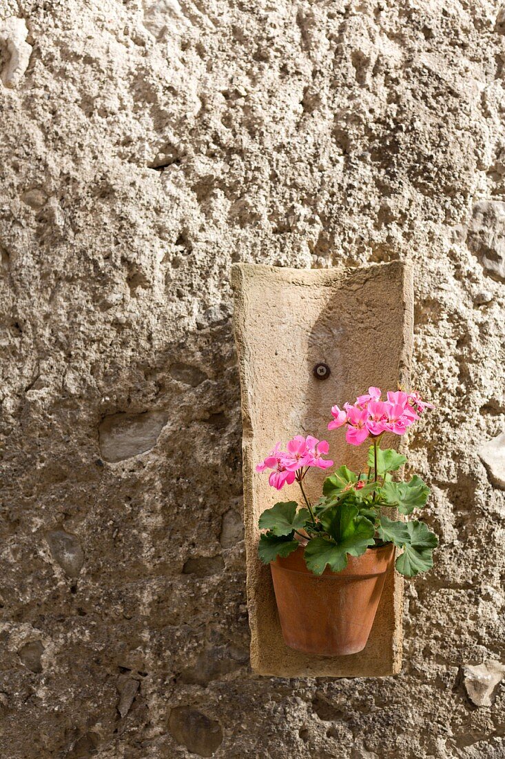 Tonziegel an der Wand als Blumenhalter für Geranie