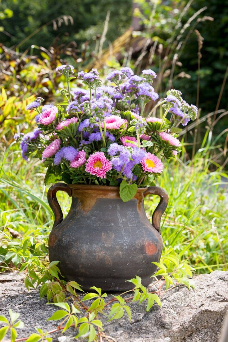 Autumnal asters in an old terracotta jug on a wall