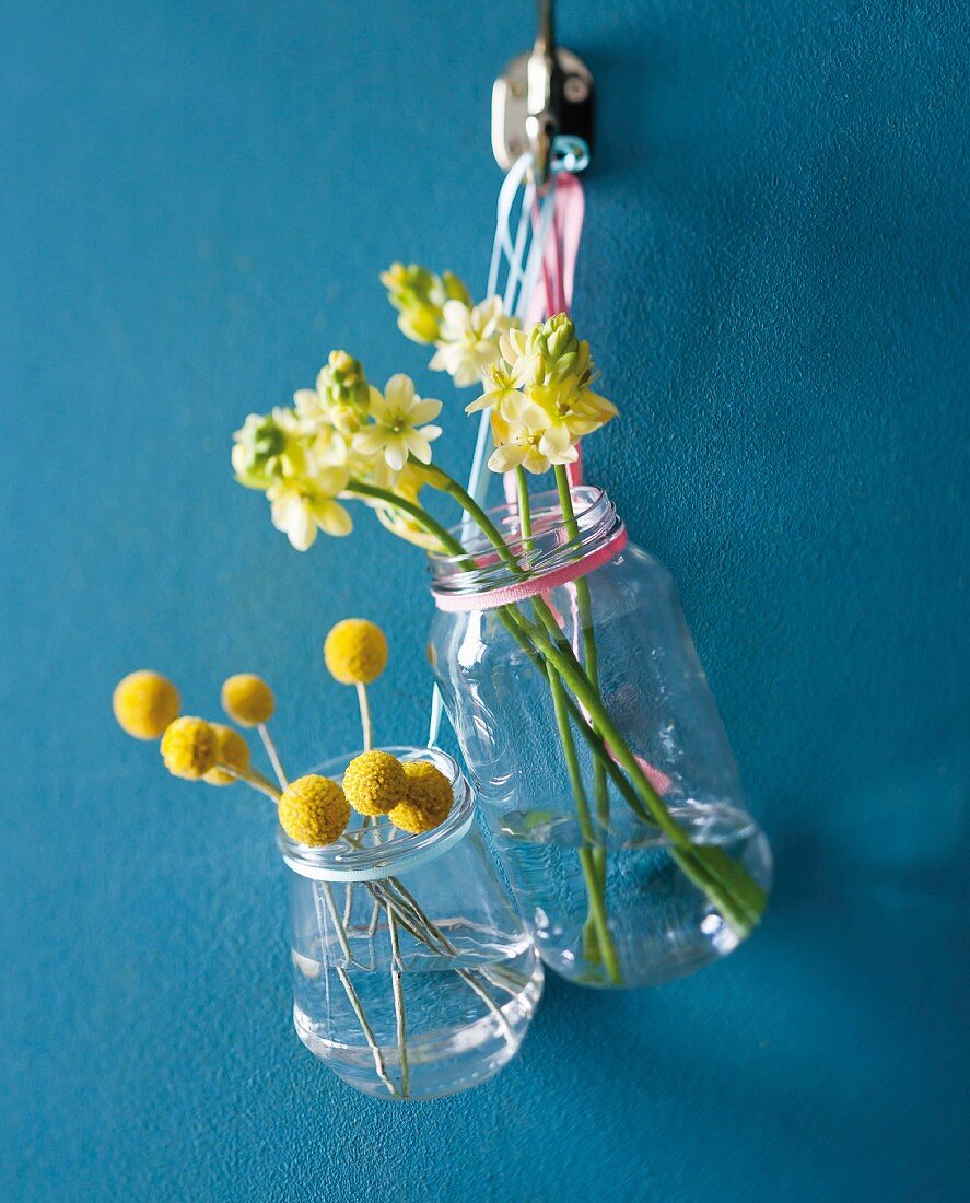 Flowers in screw-top jars hung on blue wall
