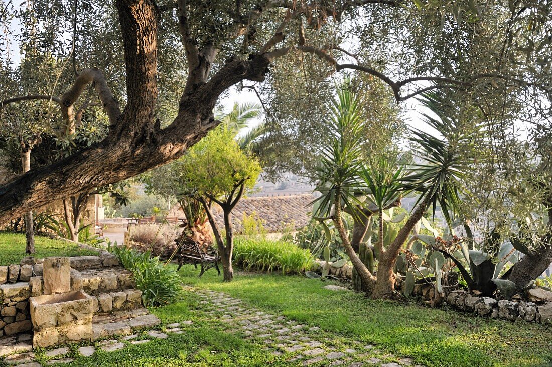 Water spout, bench and palm trees in Mediterranean garden