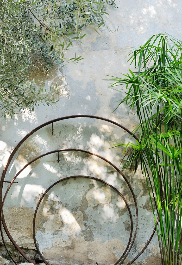 Drei ineinandergestellte Metallringe an mediterraner Hauswand mit Pflanzen umrahmt