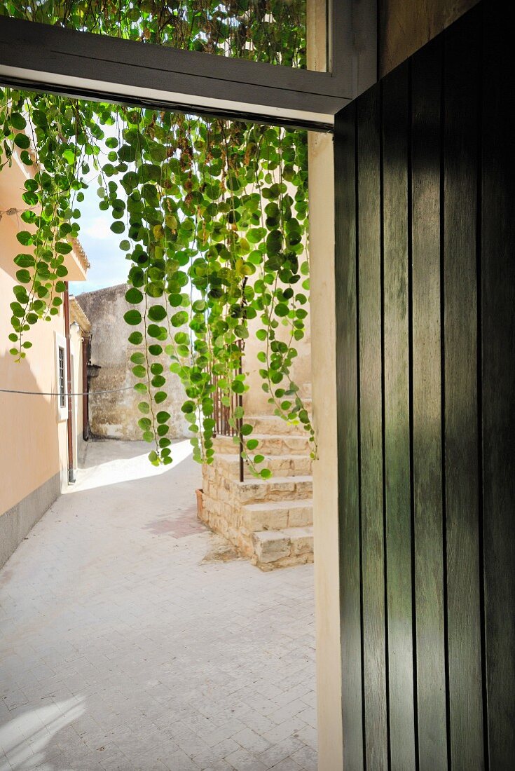 Blick in mediterranen Innenhof mit Steintreppe und grüner Hängepflanze