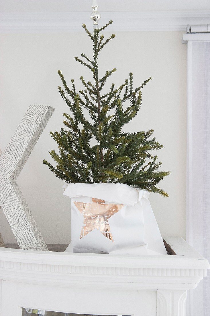 Kleiner Weihnachtsbaum in Papiertüte mit Sternmotiv