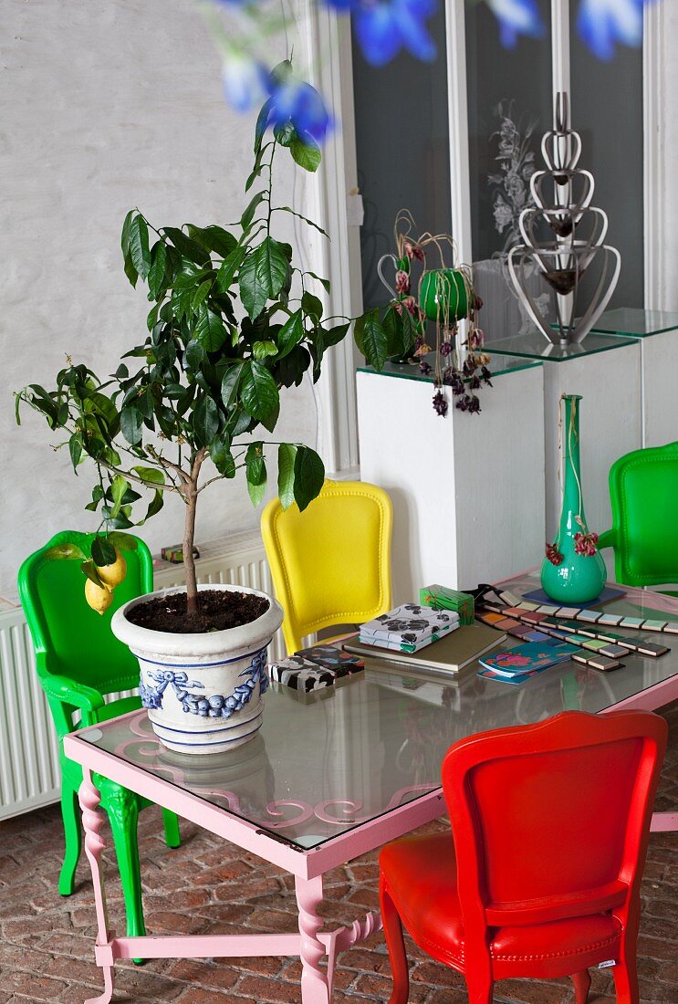 Small lemon tree on glass table surrounded by colourful chairs