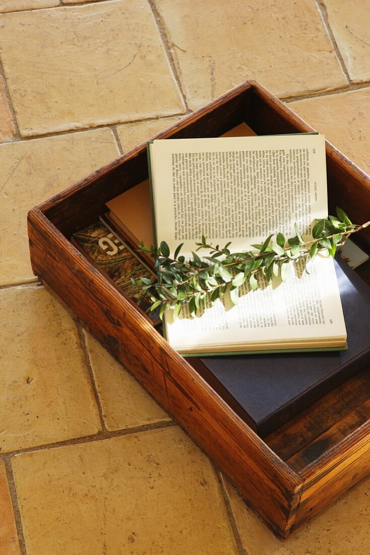 Open book and leafy branch in wooden box on floor