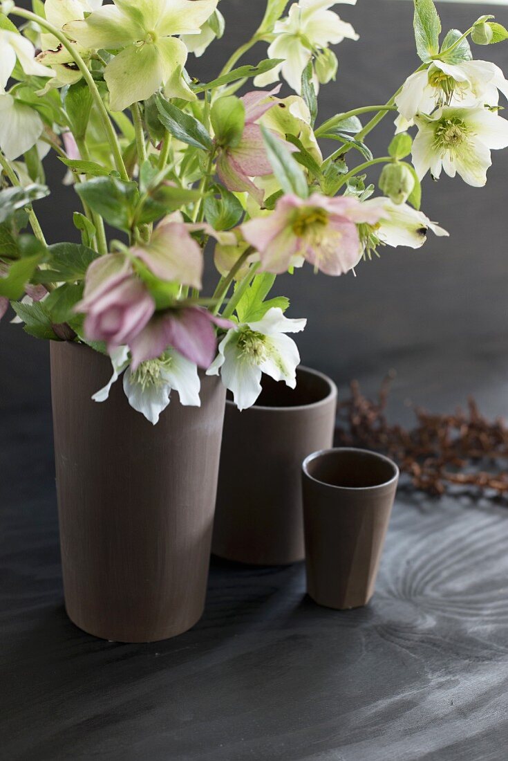 Hellebores in brown vase