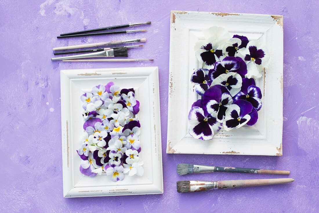 Violas in white picture frames and paintbrushes