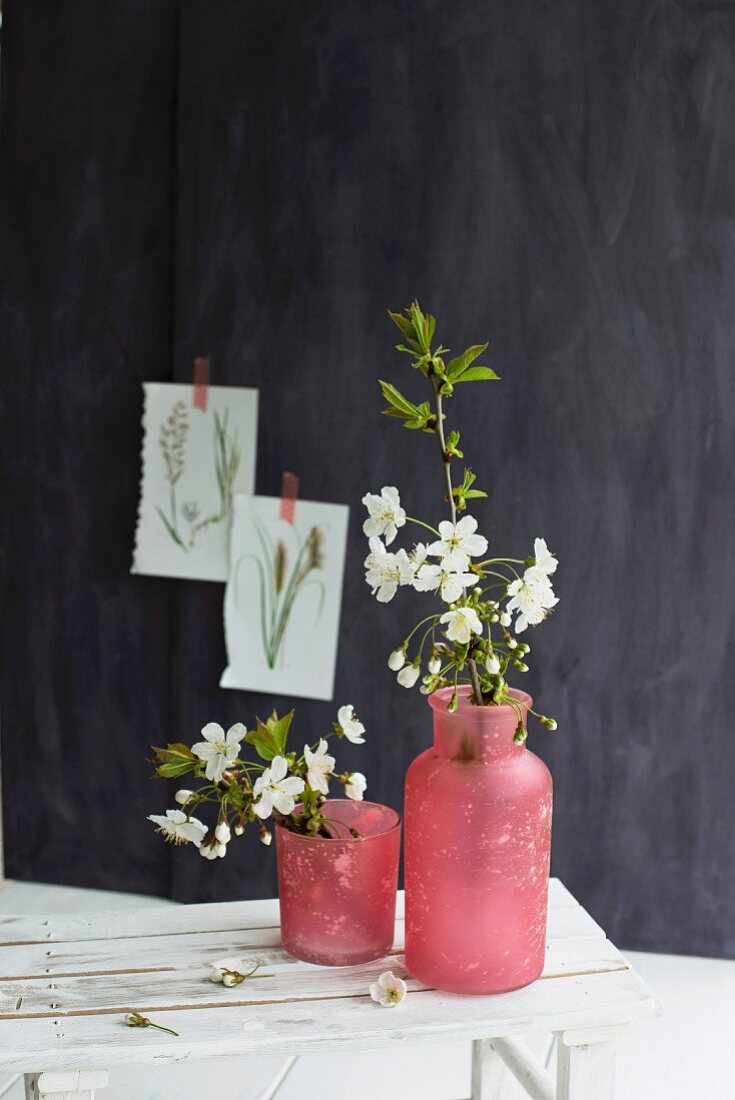 Blütenzweig in roten Vasen vor schwarzer Wand