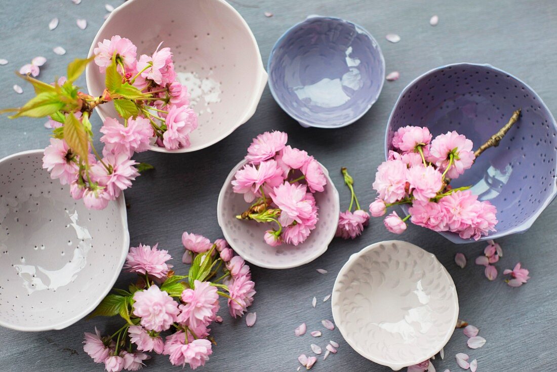 Cherry blossoms in stoneware bowls amongst scattered petals