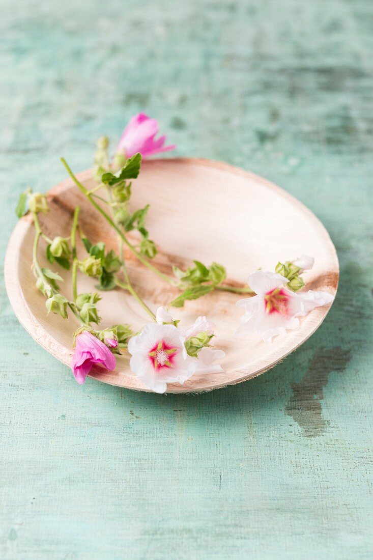 Essbare Malvenblüten auf Teller