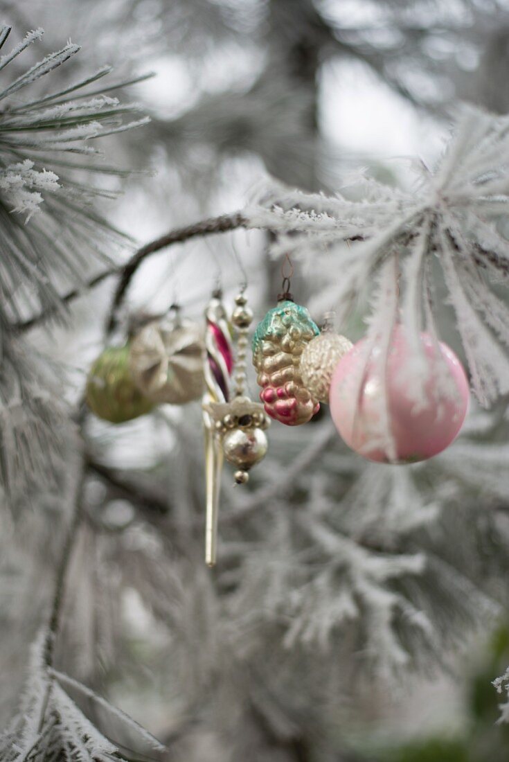 Vintage Christmas-tree decorations on frosty branch