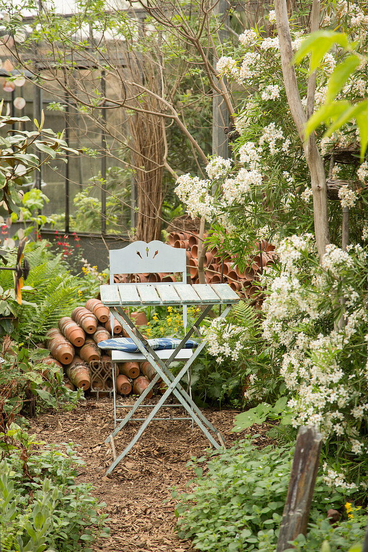 Klapptisch und -stuhl in alter Gärtnerei inmitten von weiss blühenden Blausternchen