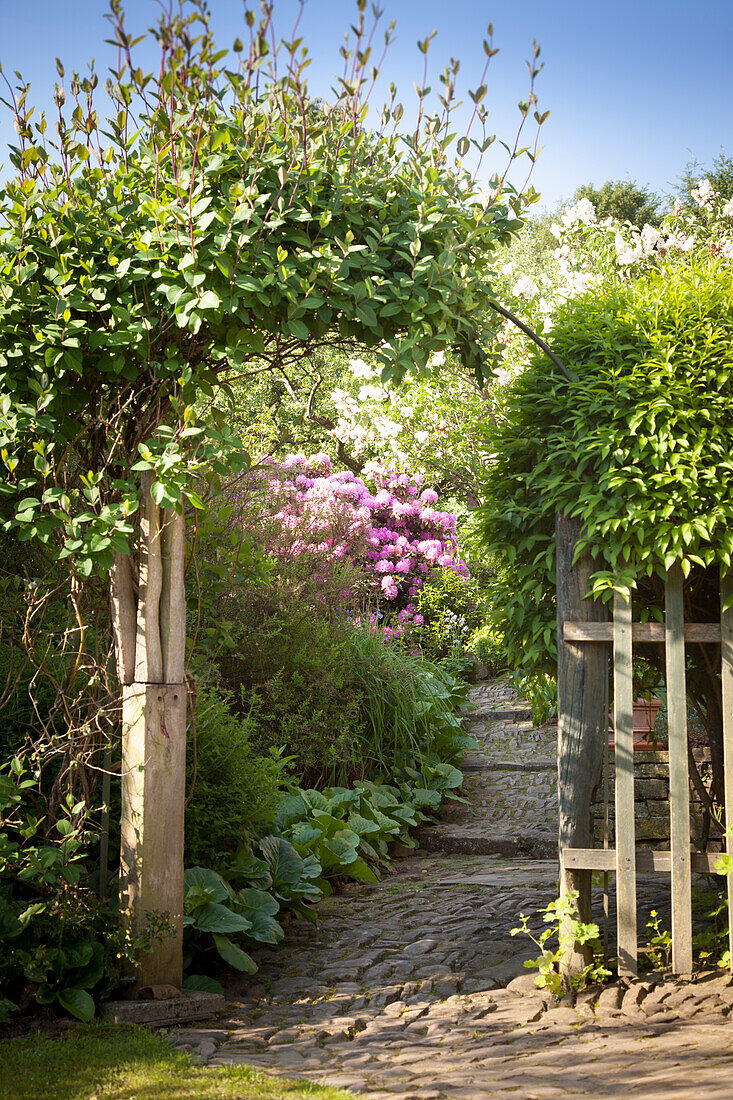 Stone path leading through climber-covered archway into summery garden