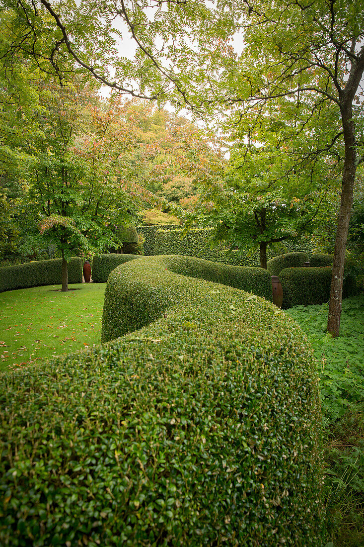 Clipped hedge winding through gardens (Les Jardin de Castillon, France)