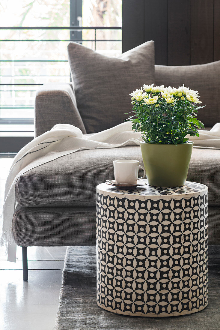 Potted chrysanthemum on cylindrical side table in front of grey sofa