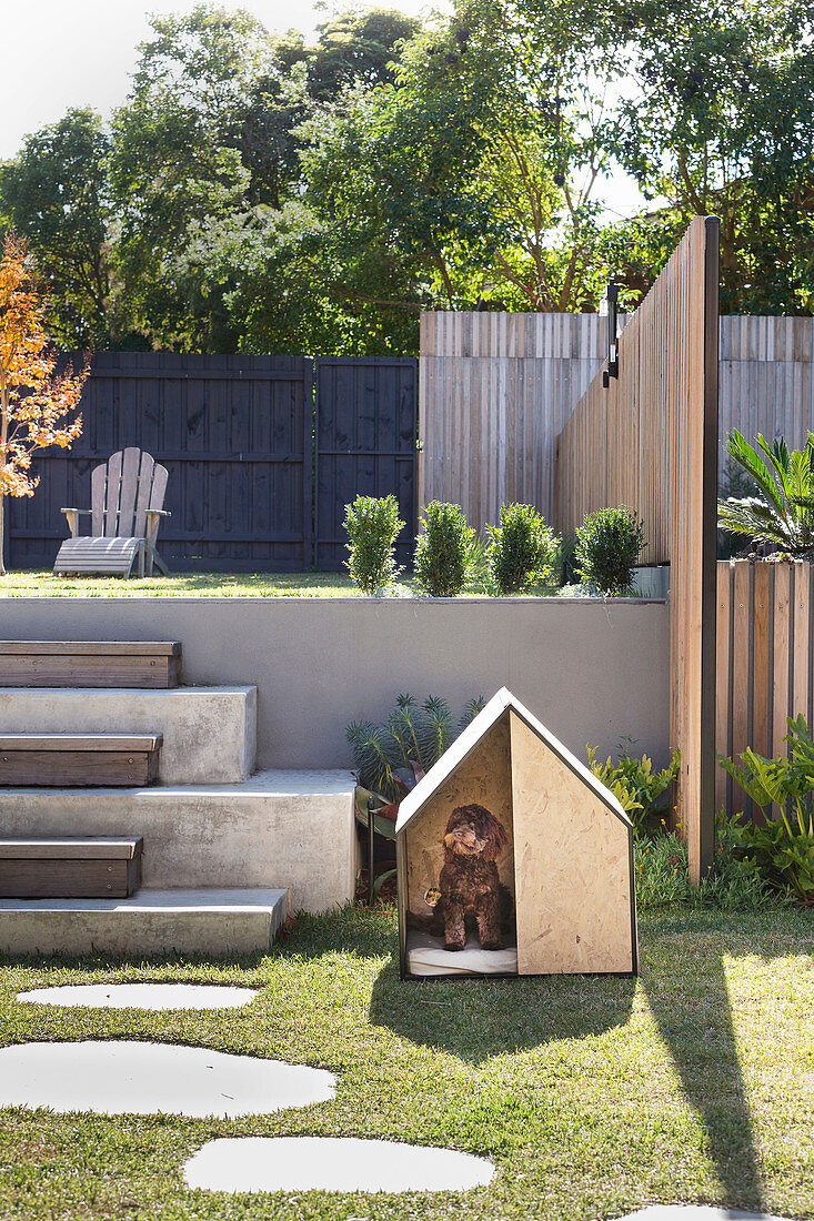 Hundehütte im modern gestalteten Garten mit zwei Ebenen