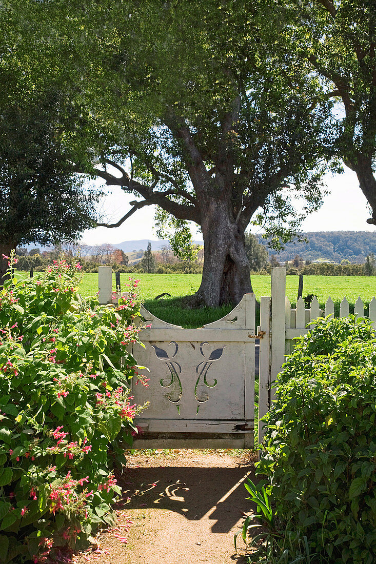 Original garden gate in front of a large tree