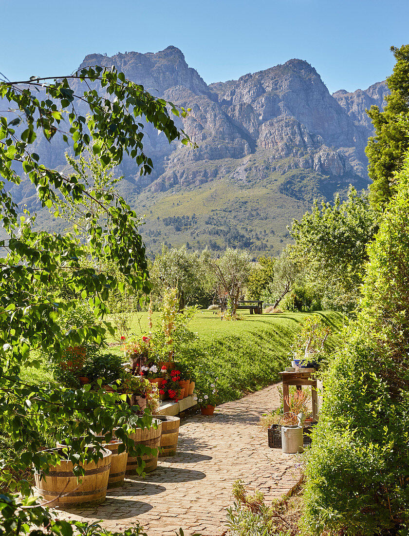 Path leading through summery garden with view of mountains