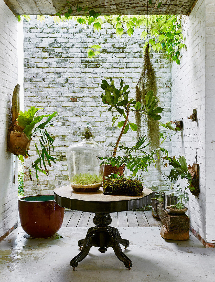 Plants on pedestal table in front of courtyard with brick walls