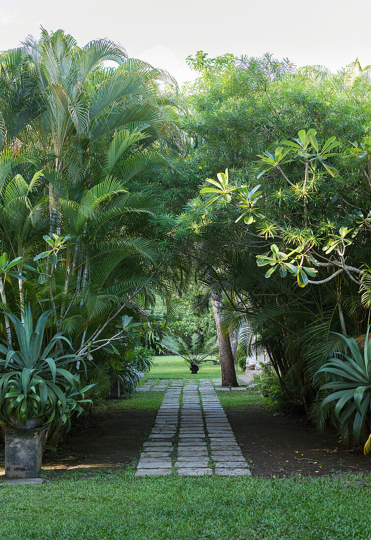 Gartenweg mit Pflastersteinen, umgeben von tropischen Pflanzen und Bäumen