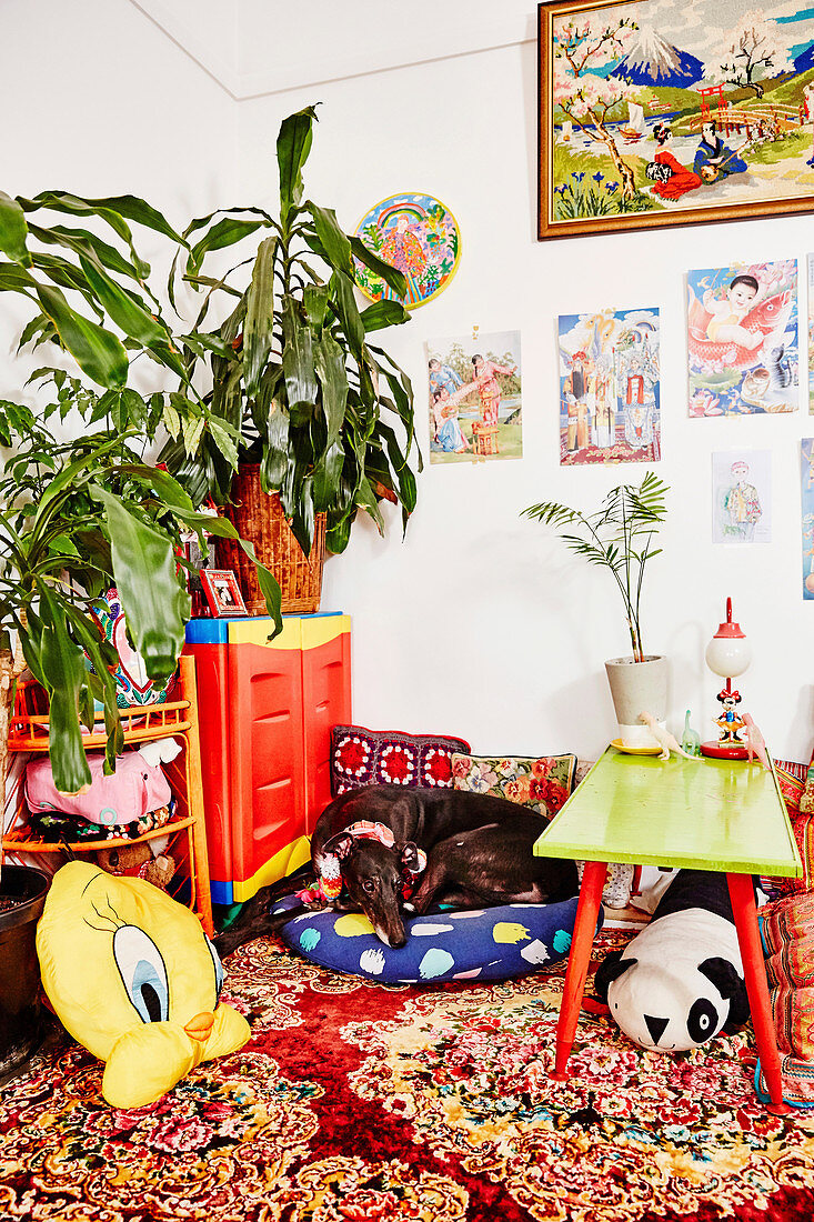 Zimmer mit bunten Accessoires in asiatischem Stil, Hund auf Kisssen
