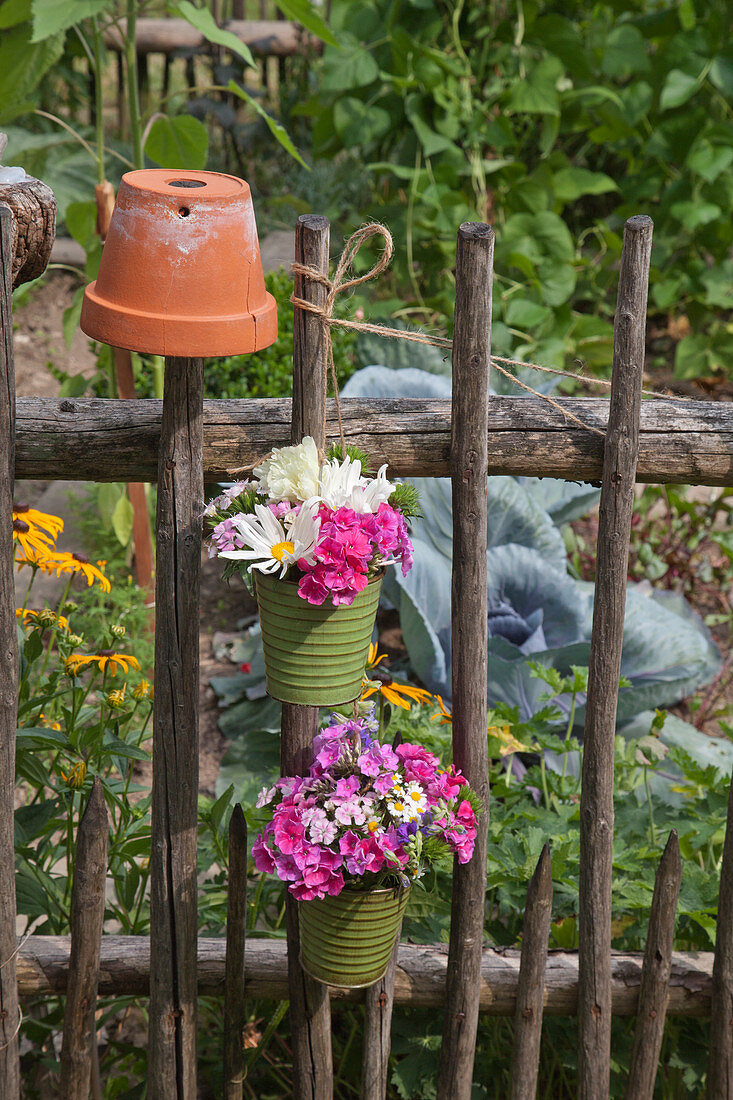Blumentöpfe mit Margeriten und Phlox am Gartenzaun hängend