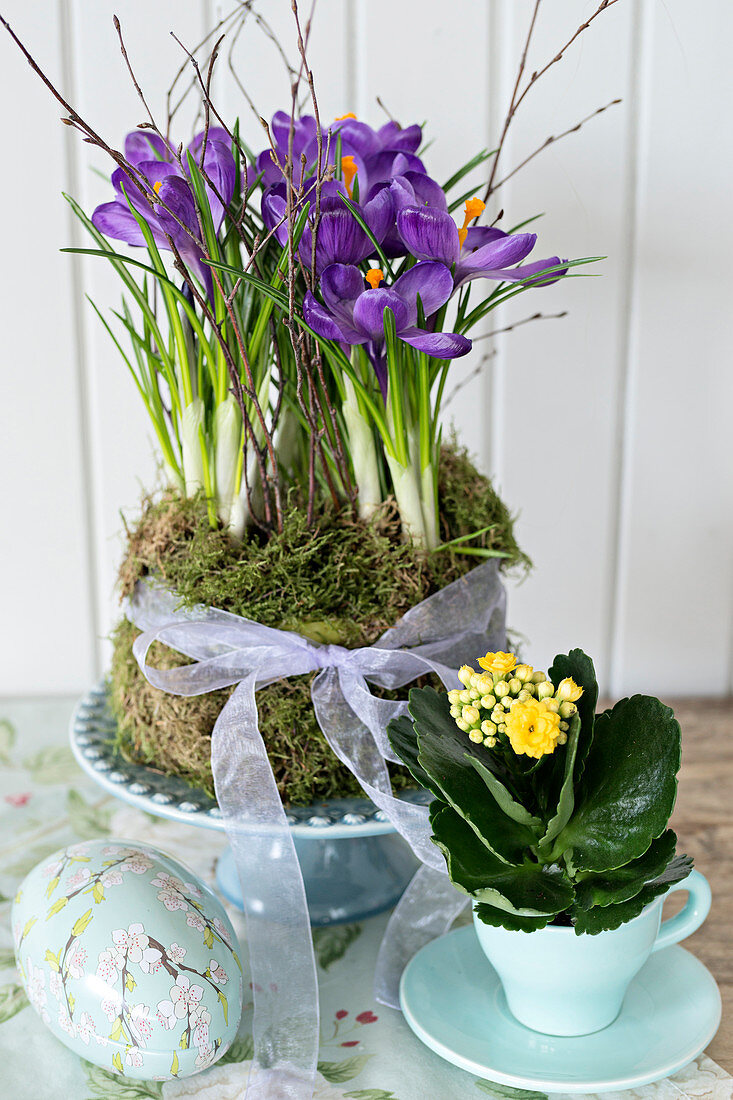 Dekoei neben Tasse mit Kalanchoe und Blumenschale mit Krokus und Moos