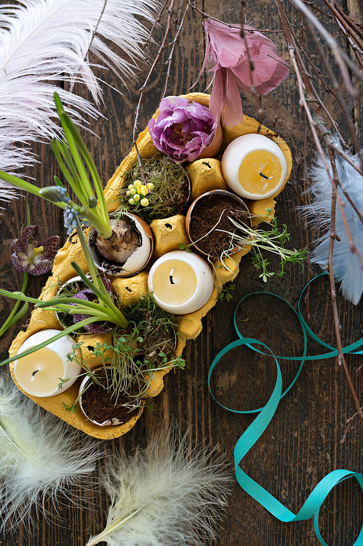 Kerzen in Eiform und bepflanzte Eierschalen im Eierkarton