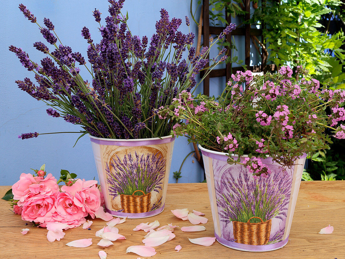 Lavendelblüten und Thymianblüten in kleinen Eimern mit Abziehbildern dekoriert