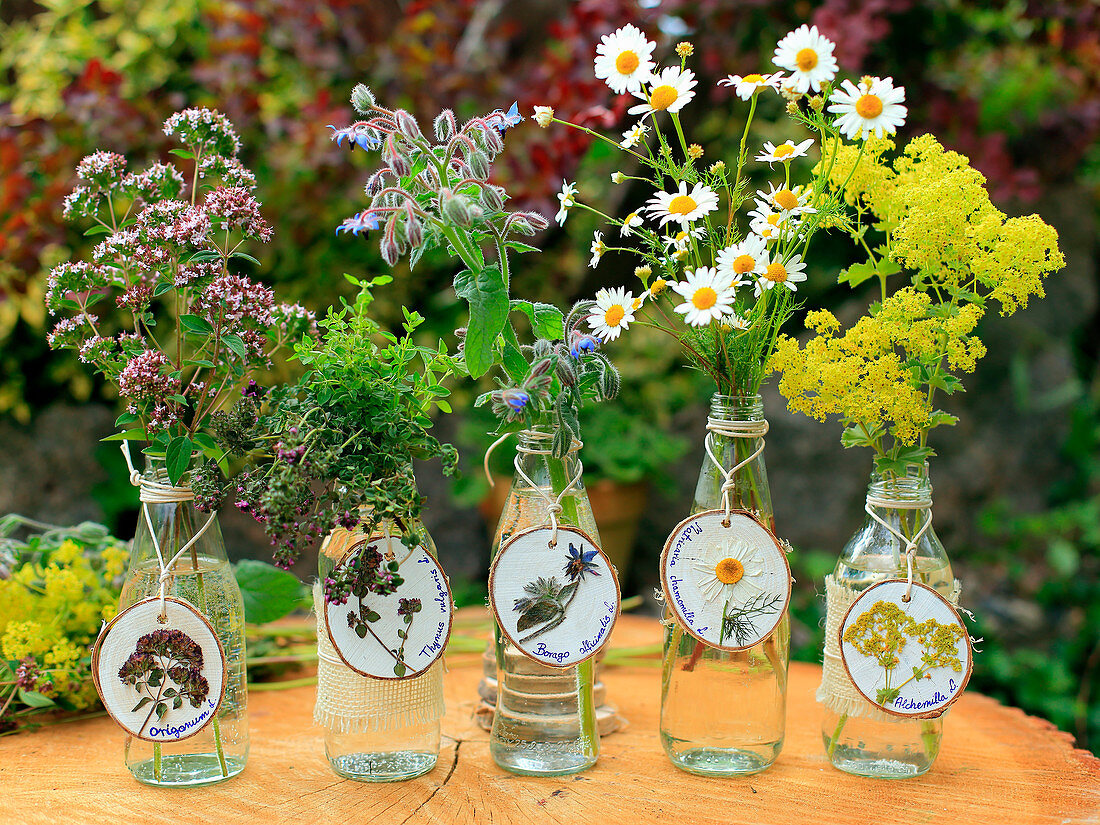 Garden herbs in glass bottles with tags made from wooden discs