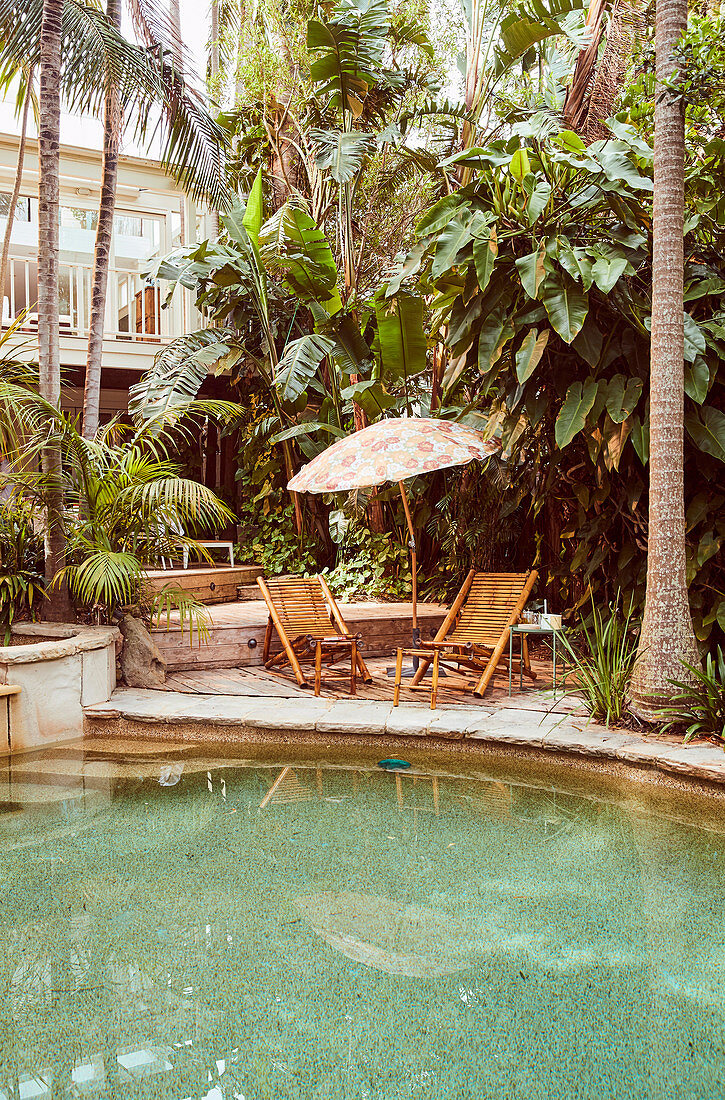 Pool, deck chairs and parasol in the garden with exotic plants