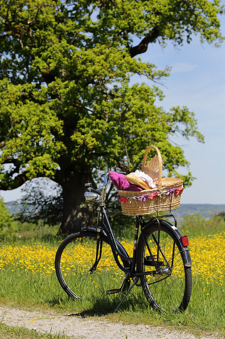 Fahrrad mit Picknickkorb am Feldweg und gelber Blumenwiese