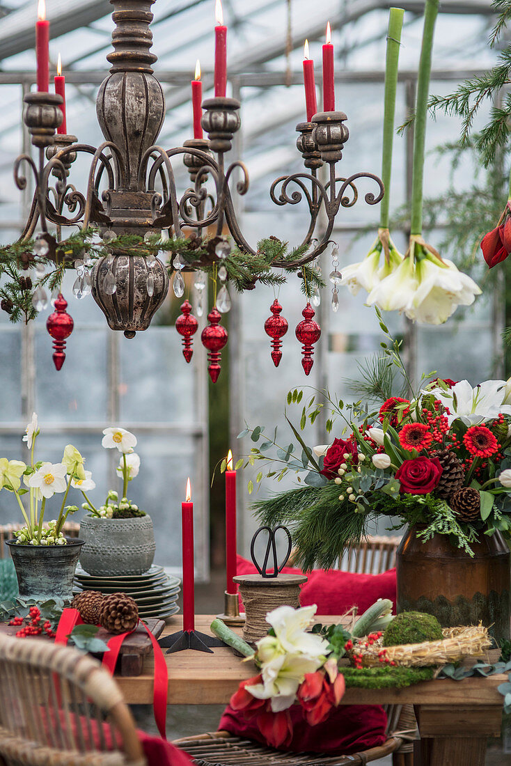 Weihnachtlich gedeckter Tisch mit Blumen im Glashaus