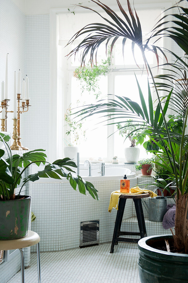 House plants in bathroom with corner bathtub and mosaic tiles