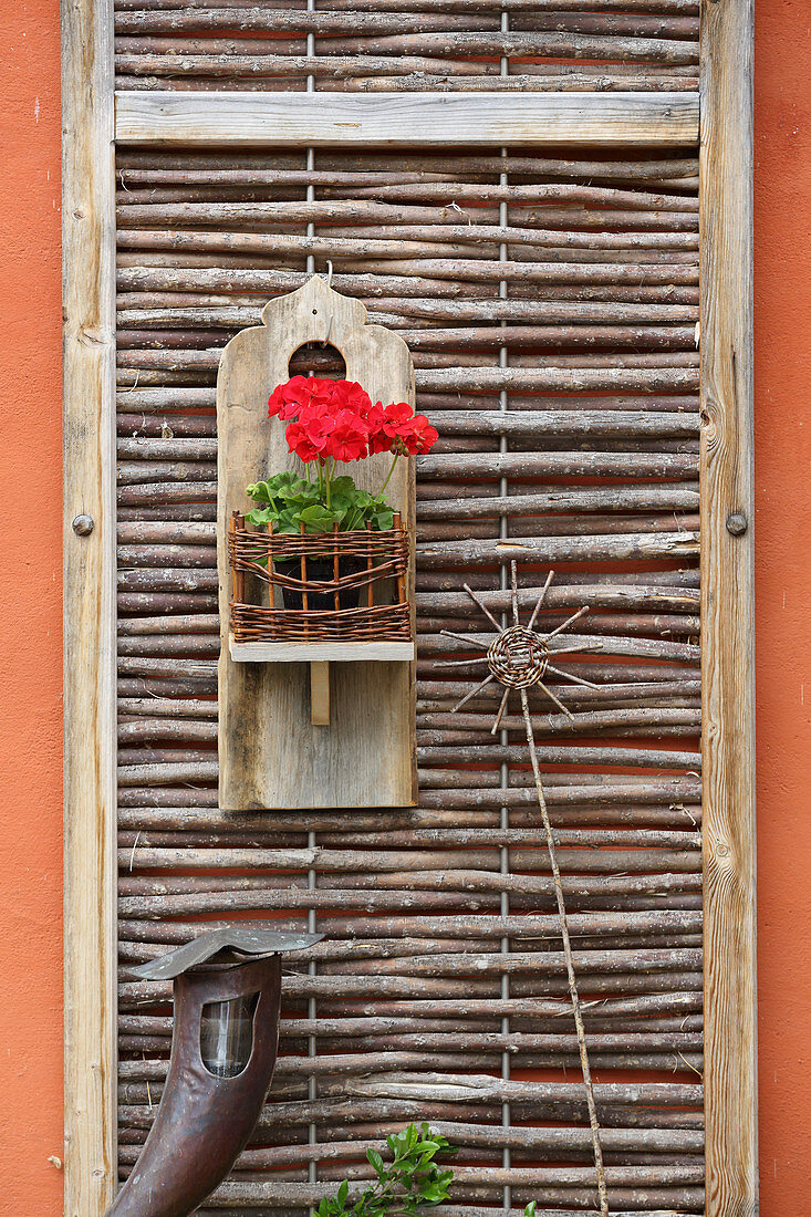 Rote Geranie in einer Wandhalterung aus Holz und Korbgeflecht