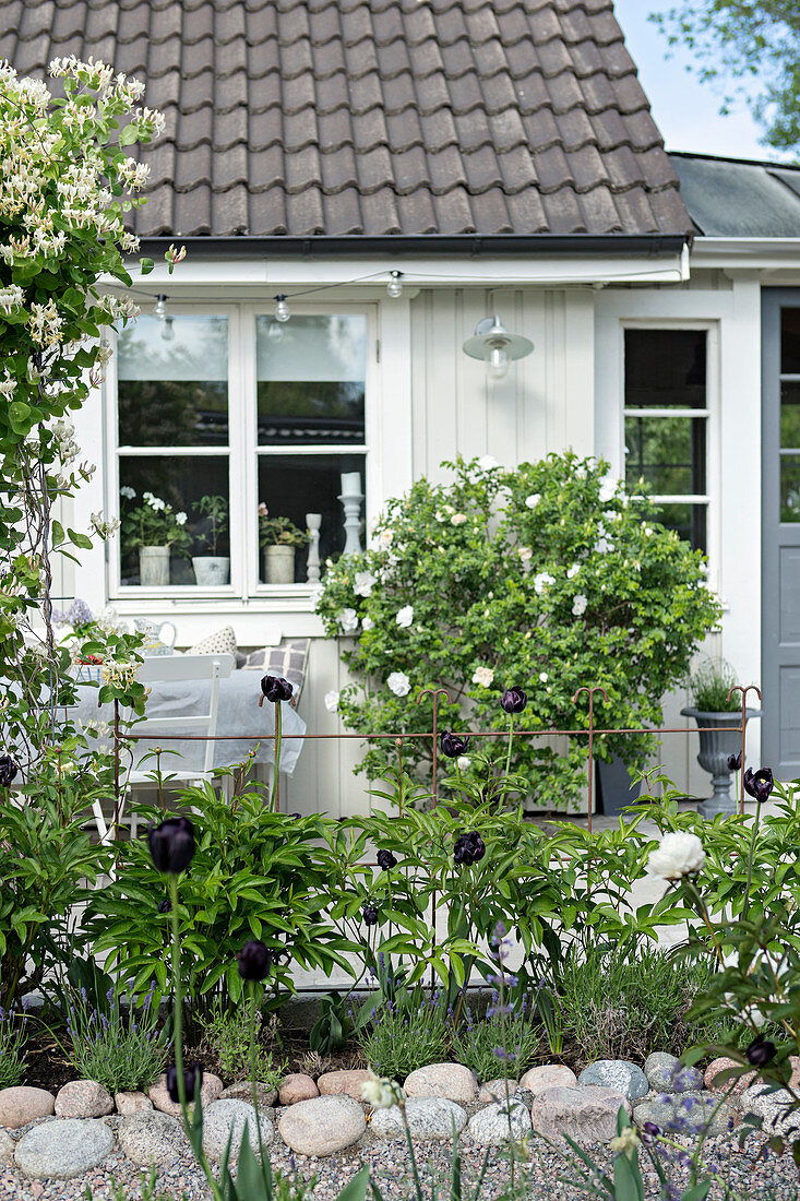Natürlicher Garten vor weißem, skandinavischen Holzhaus