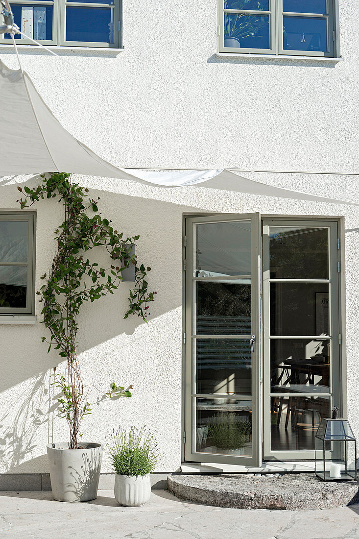 Grünpflanzen neben Sprossentür auf der Terrasse mit Sonnensegel