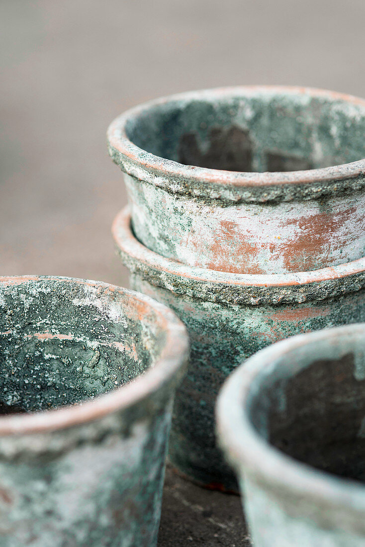 Close-up of rustic clay pots with grey patina