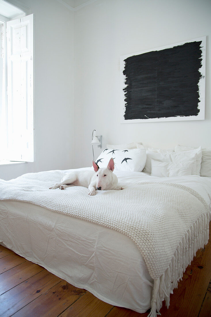 Hund auf Doppelbett mit weißer Decke, darüber schwarzes Bild im Schlafzimmer mit Holzdielenboden