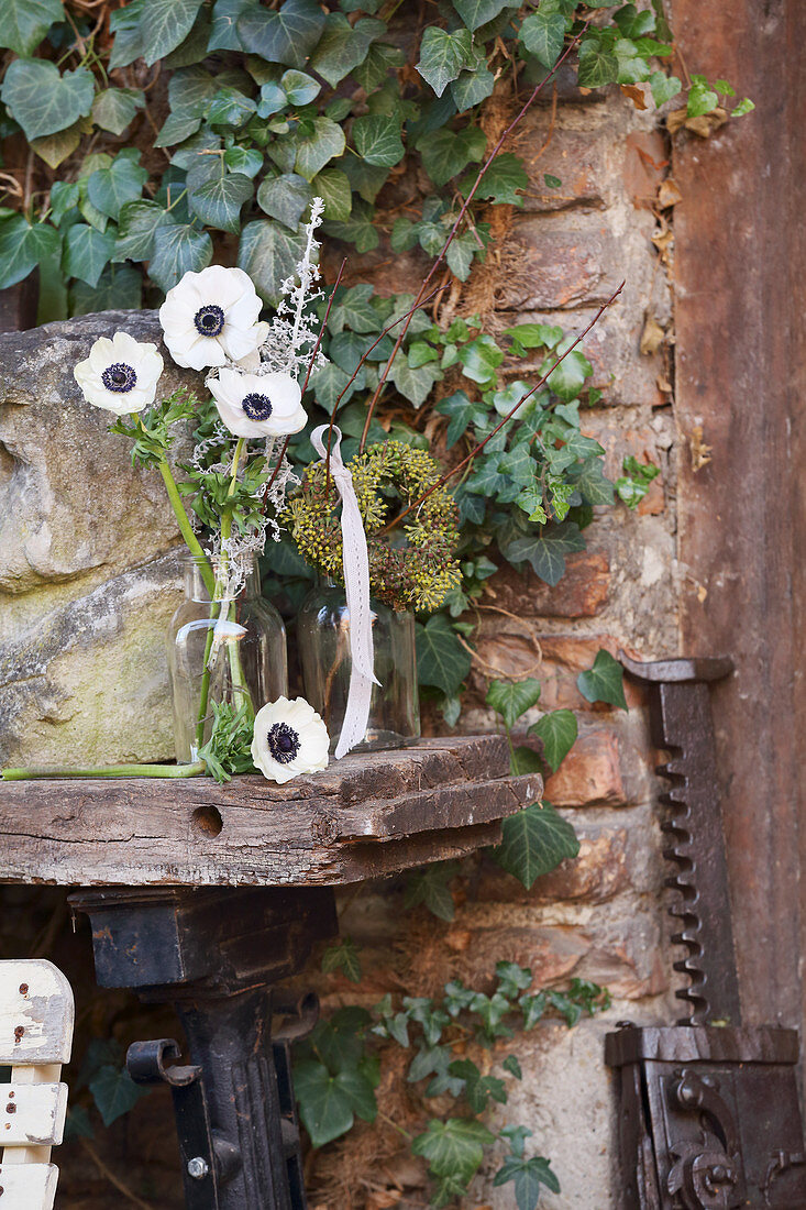 Anemones and ivy berries on old workbench against house façade