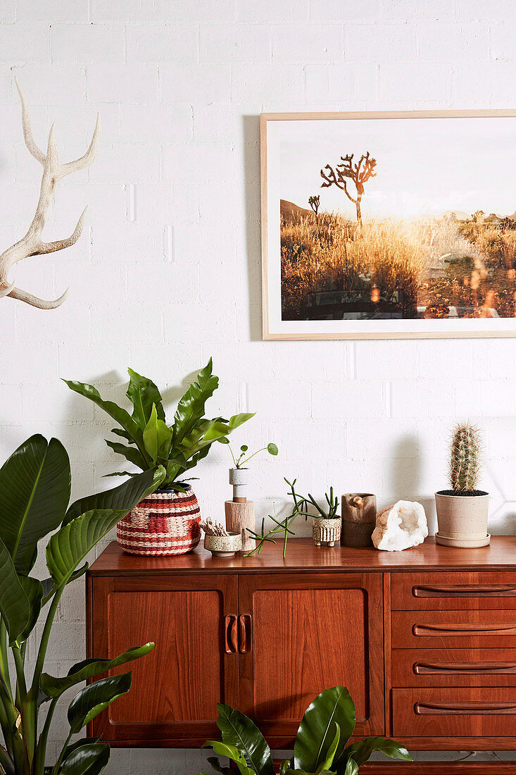Retro sideboard with house plants