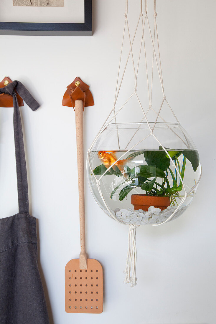Goldfish in fish bowl suspended in macrame hanger