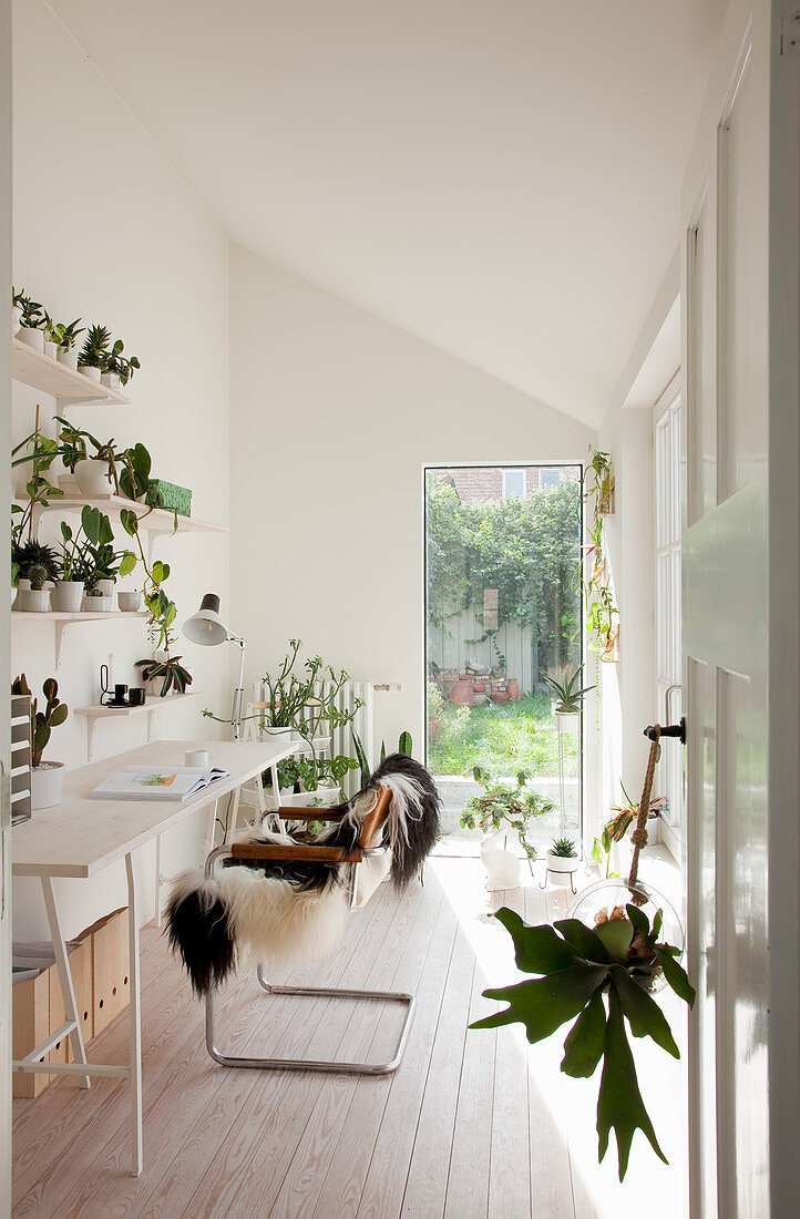 Many houseplants in narrow, white study with sloping ceiling