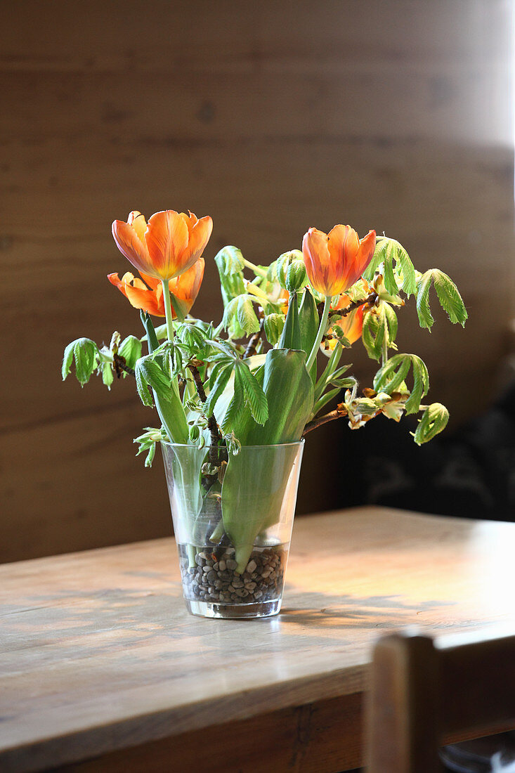 Tulpen und Äste in einer Glasvase mit Kieselsteinen