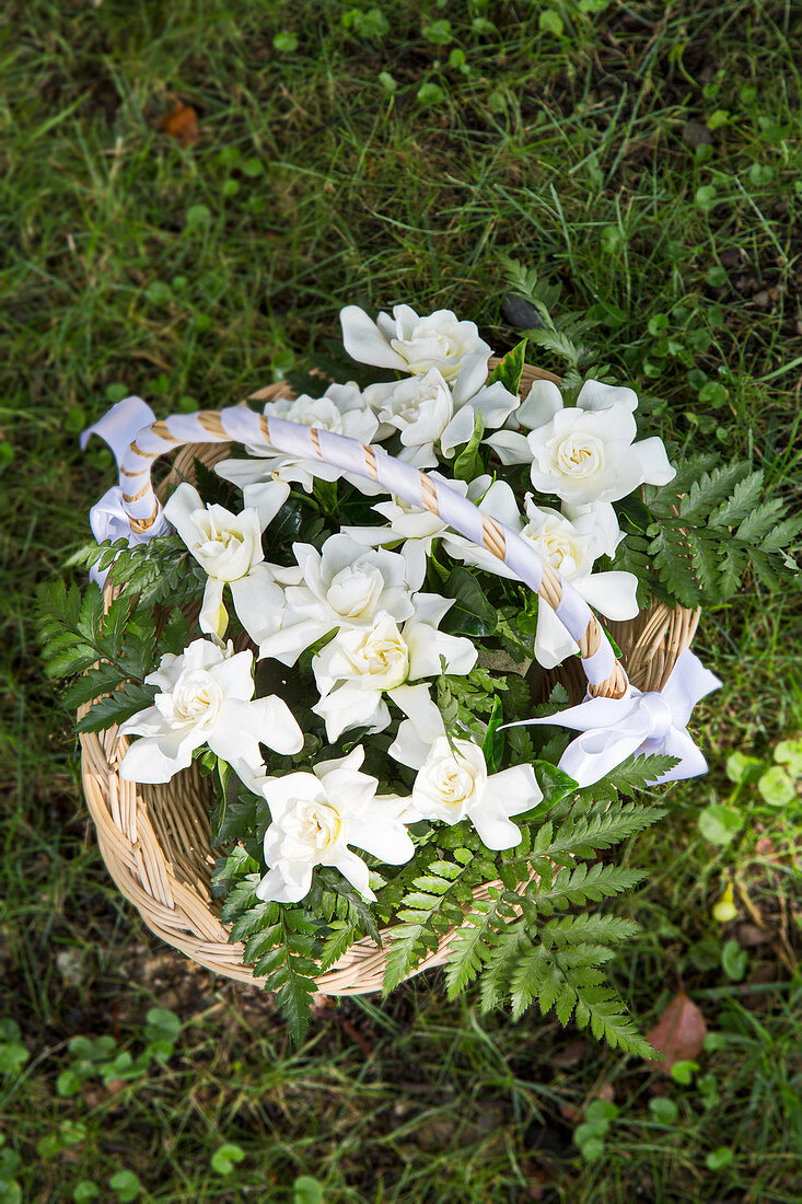 White roses and fern in a basket wrapped with white ribbon