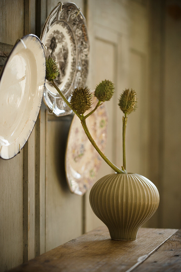 Decorative wall plates and dried flowers