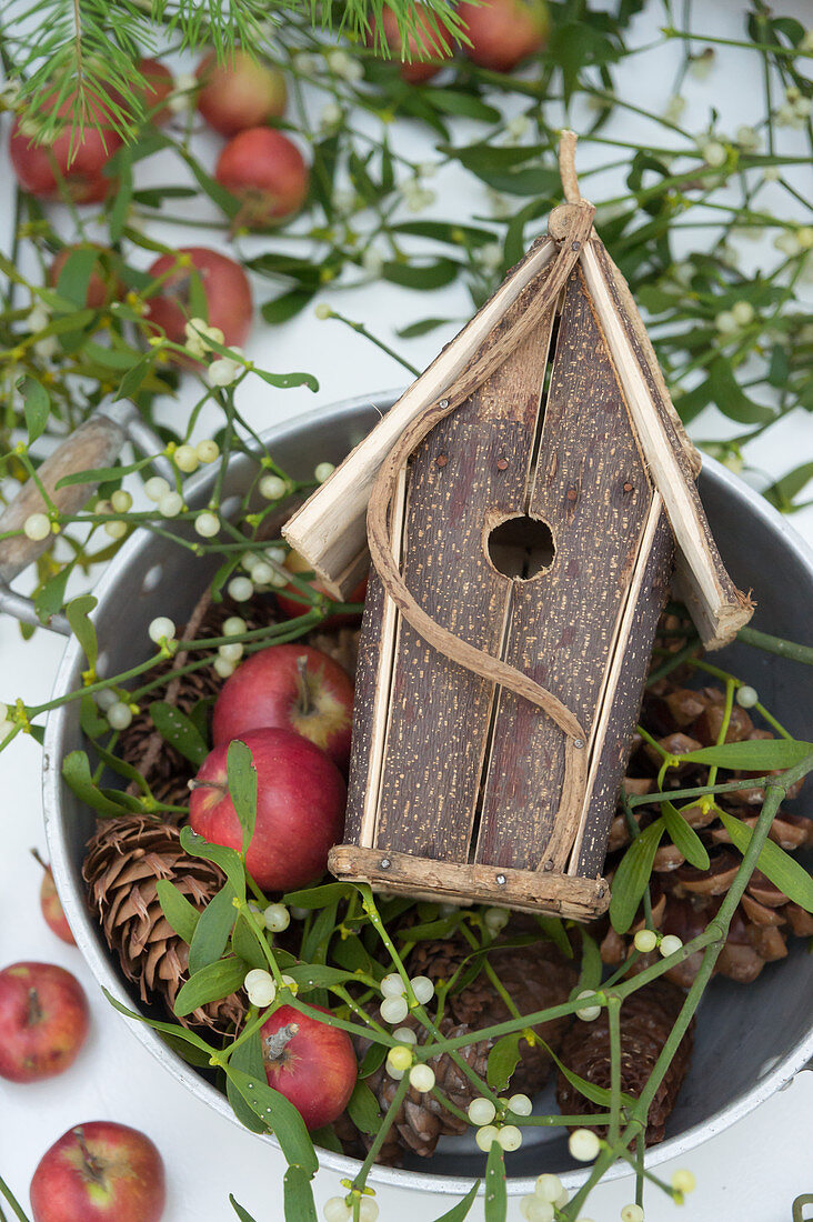 Red apples, mistletoe and nesting box in old pot