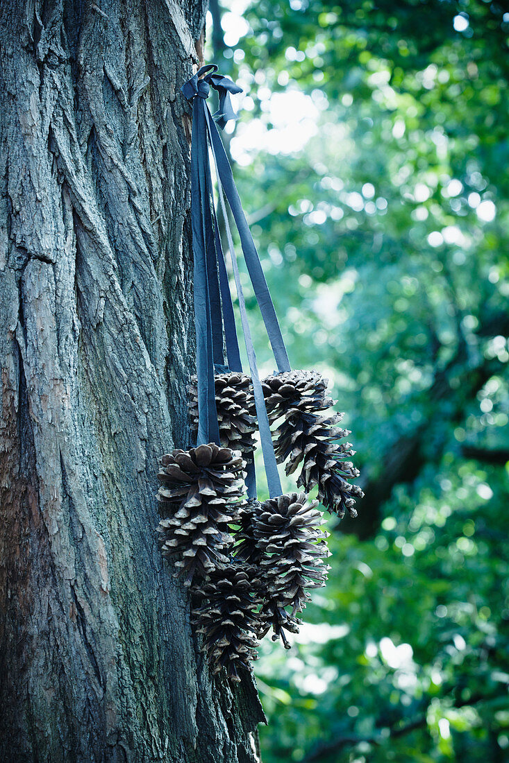 An Stoffbändern aufgehängte Zapfen an einem Baum