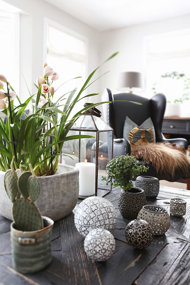 Pflanzen und Dekokugeln auf dem Tisch im Wohnzimmer
